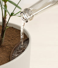 Load image into Gallery viewer, Natural Bamboo stand:all