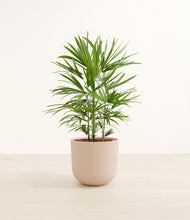 Load image into Gallery viewer, Sandy Pink