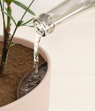 Load image into Gallery viewer, Sandy Pink stand:all