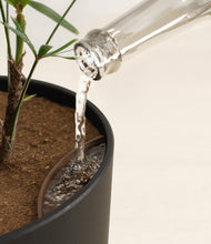 Load image into Gallery viewer, Stone Black stand:all