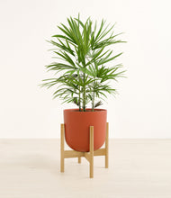 Load image into Gallery viewer, Earth Red stand:bamboo