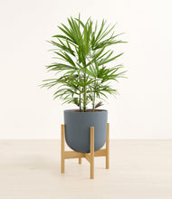 Load image into Gallery viewer, Iron Gray stand:bamboo