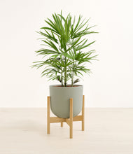 Load image into Gallery viewer, Sage Green stand:bamboo