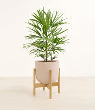 Load image into Gallery viewer, Sandy Pink stand:bamboo