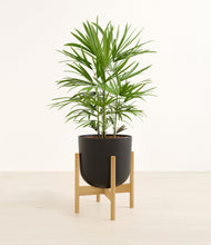 Load image into Gallery viewer, Stone Black stand:bamboo