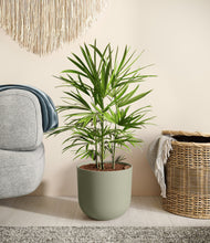 Load image into Gallery viewer, Sage Green