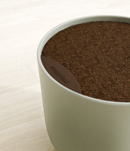 Load image into Gallery viewer, Sage Green