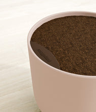 Load image into Gallery viewer, Sandy Pink