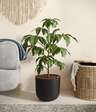 Load image into Gallery viewer, Stone Black