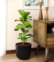 Load image into Gallery viewer, Stone Black