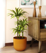 Load image into Gallery viewer, Sunset Orange