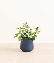 Load image into Gallery viewer, Deep Navy*****Profile