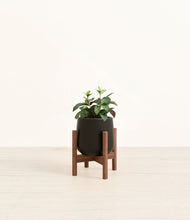 Load image into Gallery viewer, Black stand:walnut