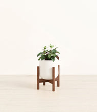 Load image into Gallery viewer, White stand:walnut