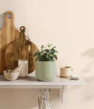 Load image into Gallery viewer, Turquoise