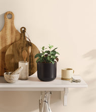 Load image into Gallery viewer, Stone Black