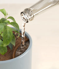 Load image into Gallery viewer, Misty Blue stand:all