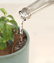 Load image into Gallery viewer, Reactive Aqua stand:all