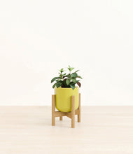 Load image into Gallery viewer, Key Lime Yellow stand:bamboo