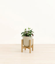 Load image into Gallery viewer, Sage Green stand:bamboo