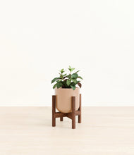 Load image into Gallery viewer, Glossy Pink stand:walnut