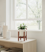 Load image into Gallery viewer, Cotton White stand:walnut
