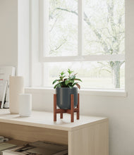 Load image into Gallery viewer, Iron Gray stand:walnut