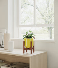 Load image into Gallery viewer, Key Lime Yellow stand:walnut