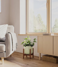 Load image into Gallery viewer, Turquoise stand:walnut