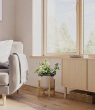 Load image into Gallery viewer, Eternal Gray stand:bamboo