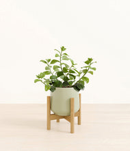 Load image into Gallery viewer, Turquoise stand:bamboo