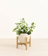 Load image into Gallery viewer, Shiny EggWhite stand:bamboo