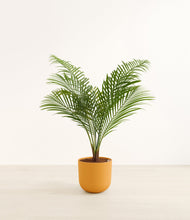 Load image into Gallery viewer, Sunset Orange*****Profile