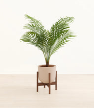 Load image into Gallery viewer, Sandy Pink stand:walnut