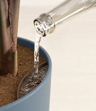 Load image into Gallery viewer, Iron Gray stand:all