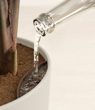 Load image into Gallery viewer, Natural Bamboo stand:all