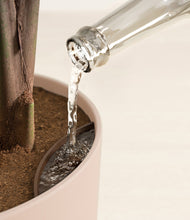 Load image into Gallery viewer, Sandy Pink stand:all