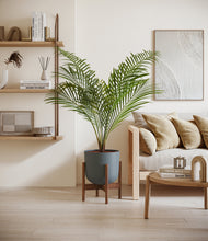 Load image into Gallery viewer, Iron Gray stand:walnut