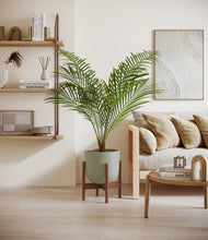 Load image into Gallery viewer, Sage Green stand:walnut