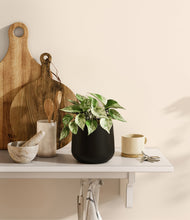 Load image into Gallery viewer, Black