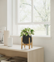 Load image into Gallery viewer, Black stand:bamboo