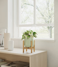 Load image into Gallery viewer, Turquoise stand:bamboo