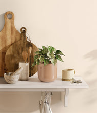 Load image into Gallery viewer, Glossy Pink