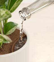 Load image into Gallery viewer, Cotton White stand:all