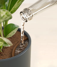 Load image into Gallery viewer, Iron Gray stand:all