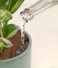 Load image into Gallery viewer, Reactive Aqua stand:all