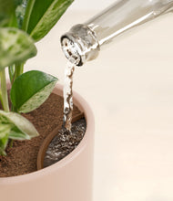 Load image into Gallery viewer, Sandy Pink stand:all