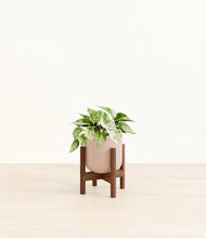 Load image into Gallery viewer, Sandy Pink stand:walnut