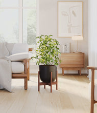 Load image into Gallery viewer, Stone Black stand:walnut