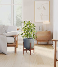 Load image into Gallery viewer, Iron Gray stand:walnut